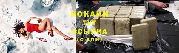 хмурый Аркадак