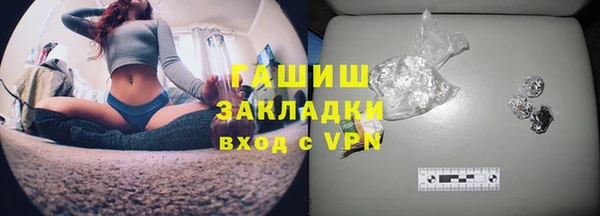 хмурый Аркадак