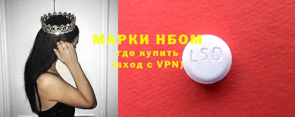 молекула духа Арсеньев