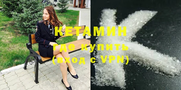 хмурый Аркадак