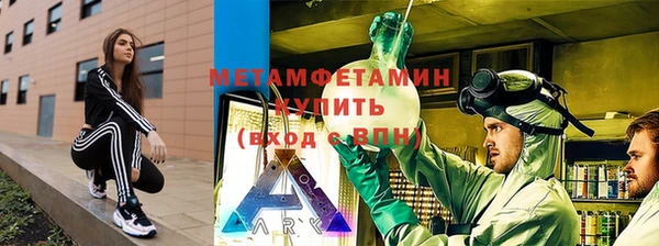 хмурый Аркадак
