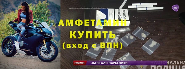 молекула духа Арсеньев