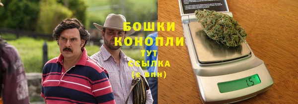 хмурый Аркадак